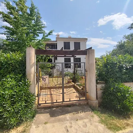 Apartment In With Garden *