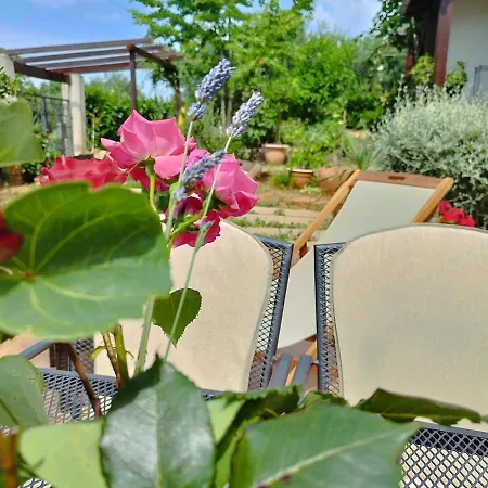 Appartamento In With Garden Medolino